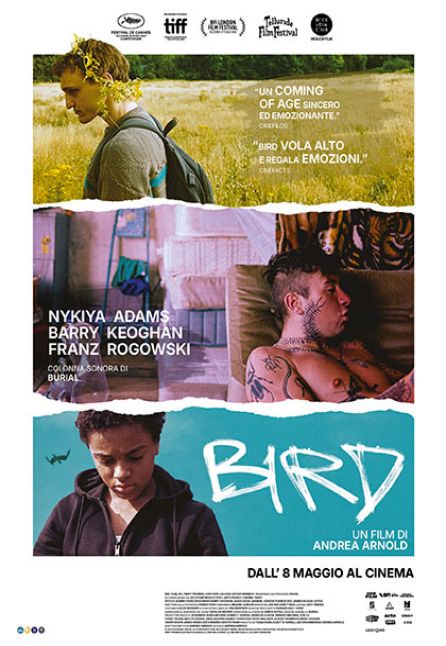 BIRD [2025]